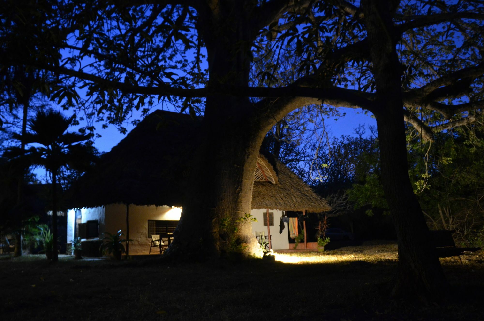 Diani House Hotel Diani Beach Exterior photo